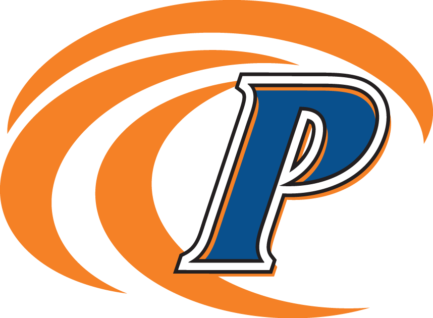 Pepperdine Waves 2004-2010 Secondary Logo iron on transfers for T-shirts